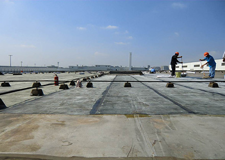 上海化學(xué)建材協(xié)會(huì)防水材料及技術(shù)分會(huì)成立，公司董...